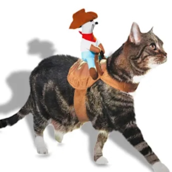 NWT Cowboy Cat Halloween Costume XS​ - Picture 1 of 7